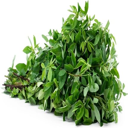 chipilin flower seeds