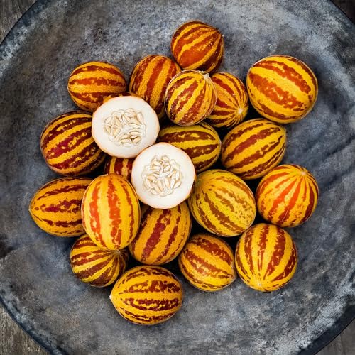 Yellow Annes Melon Seeds Heirloom Non-GMO High Germination Organic Garden Seeds for Planting