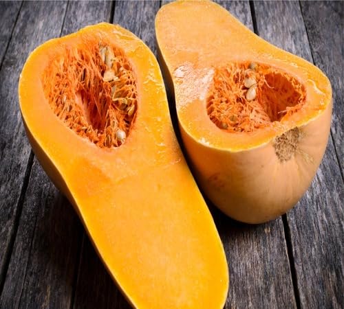 Orange Squash Seeds – Heirloom, Non-GMO, High Germination Organic Garden Seeds Planting