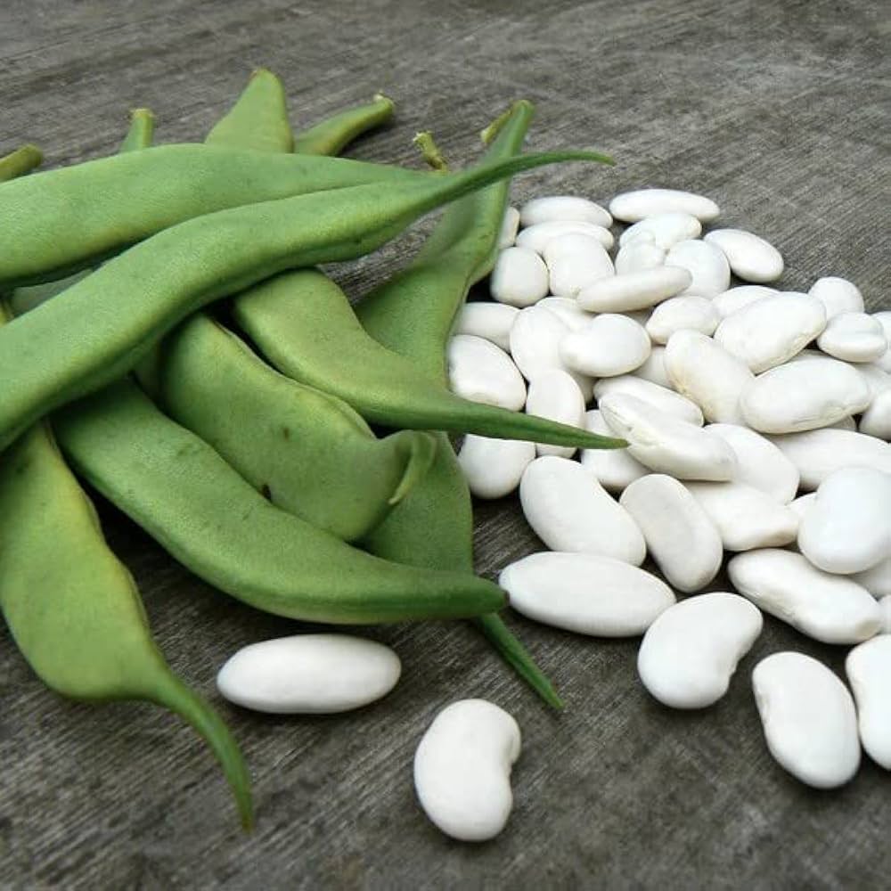 White Tepary herb seeds