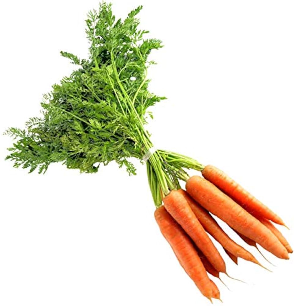 carrot for flower seeds
