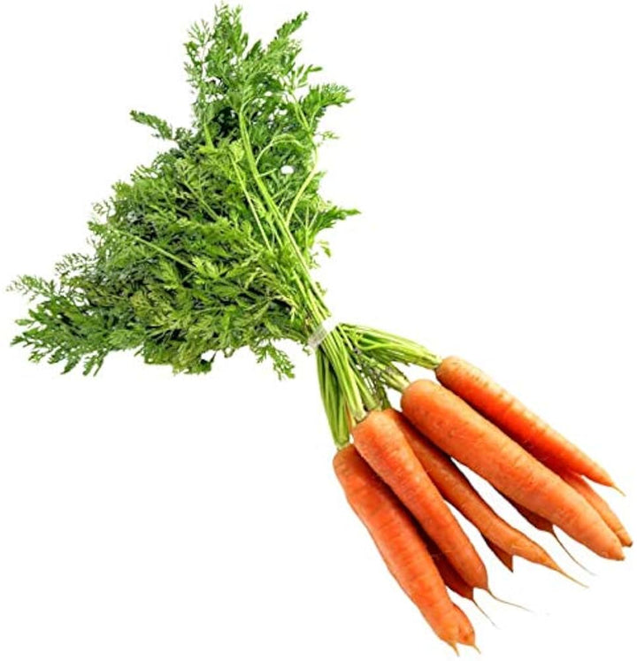 carrot for flower seeds