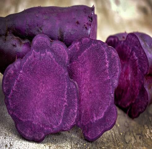 Purple Sweet Potato Seeds – Heirloom, Non-GMO, High Germination Organic Garden Seeds Planting