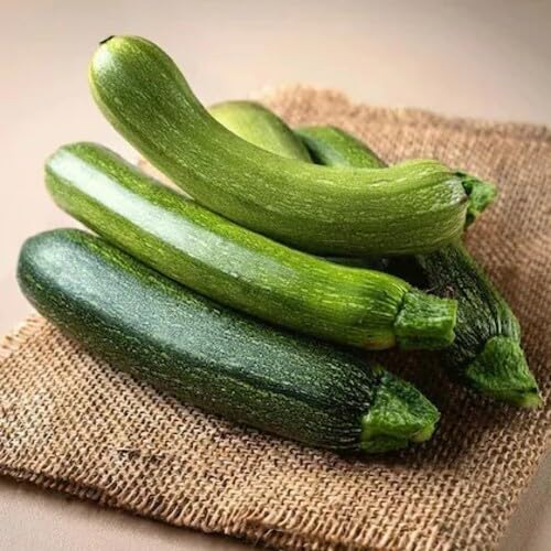 zucchini heirloom non-gmo seeds