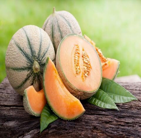 Orange Muskmelon Seeds – Heirloom, Non-GMO, High Germination Organic Garden Seeds