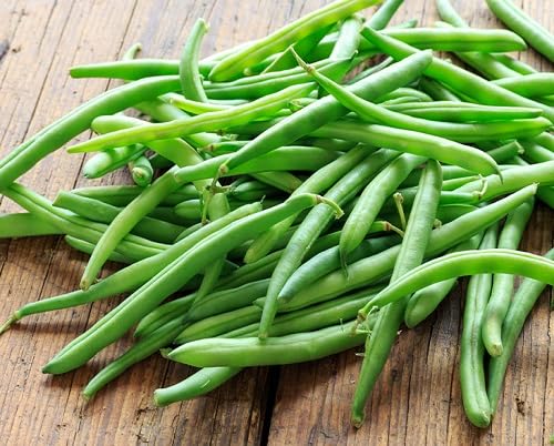 Bean Seeds – Heirloom, Non-GMO, High Germination Organic Garden Seeds Planting