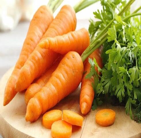 Orange Carrot Seeds – Heirloom, Non-GMO, High Germination Organic Garden Seeds Planting