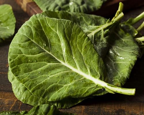 Collard Green Seeds – Heirloom, Non-GMO, High Germination Organic Garden Seeds Planting