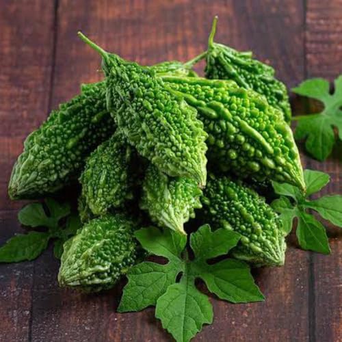 Green Bitter Gourd Seeds – Heirloom, Non-GMO, High Germination Organic Garden Seeds Planting
