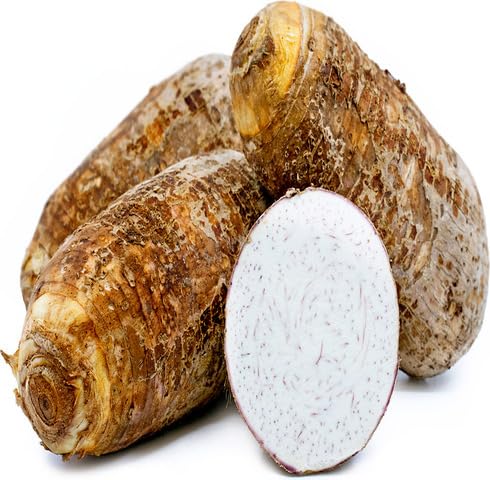 Brown Taro Seeds – Heirloom, Non-GMO, High Germination Organic Garden Seeds Planting
