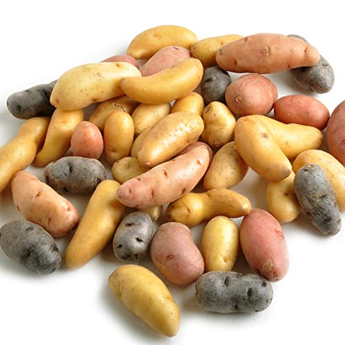 Fingerling Potato Mixed Variety Seeds - Heirloom, Non-GMO, Organic Garden Seeds