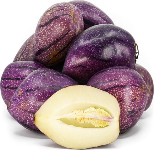 Lila Pepino-Melonen-Samen zum Pflanzen – Heirloom Non-GMO Hohe Keimrate Bio-Gartensamen