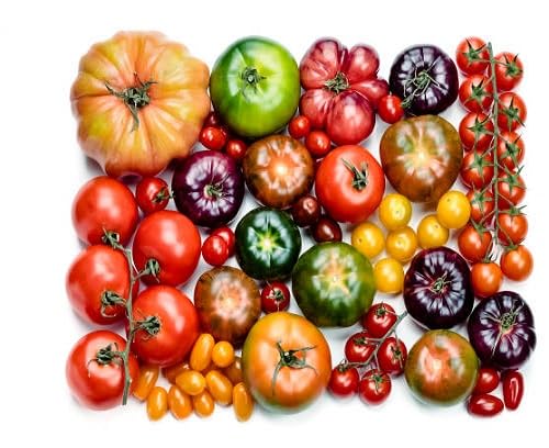 Red Tomato Seeds – Heirloom, Non-GMO, High Germination Organic Garden Seeds Planting
