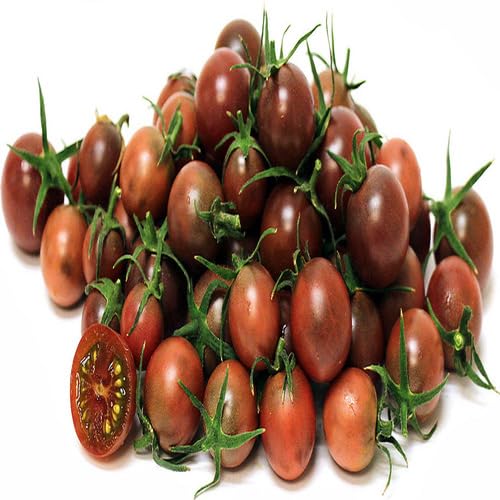 Brown Tomato Seeds – Heirloom, Non-GMO, High Germination Organic Garden Seeds Planting