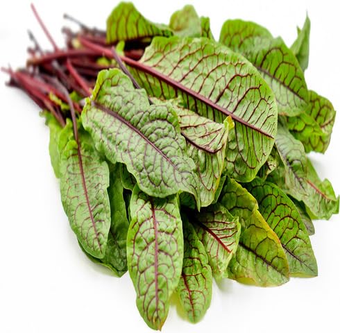 Red Sorrel Seeds for Planting – Heirloom, Non-GMO, High Germination Organic Garden Seeds