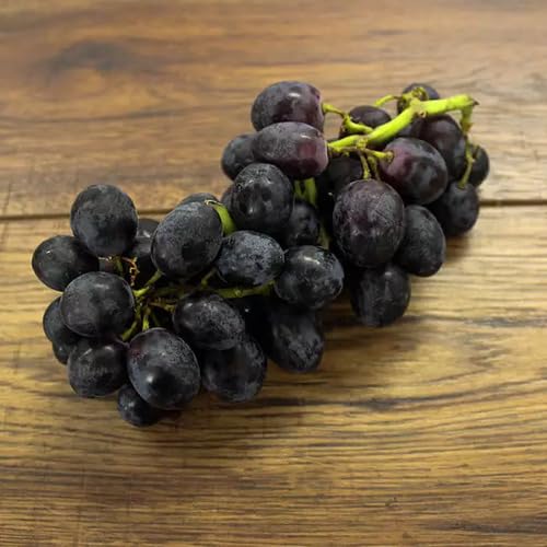 Black Grape Seeds – Heirloom, Non-GMO, High Germination Organic Garden Seeds