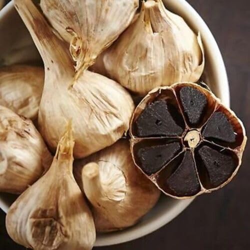 Black Garlic – Heirloom, Non-GMO, High Germination Organic Garden Seeds Planting