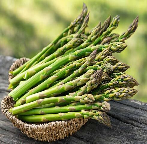 Green Asparagus Seeds – Heirloom, Non-GMO, High Germination Organic Garden Seeds Planting