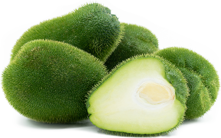 Prickly Chayote Squash Seeds – Heirloom Non-GMO Organic Vegetable Seeds, High Germination Garden Seeds
