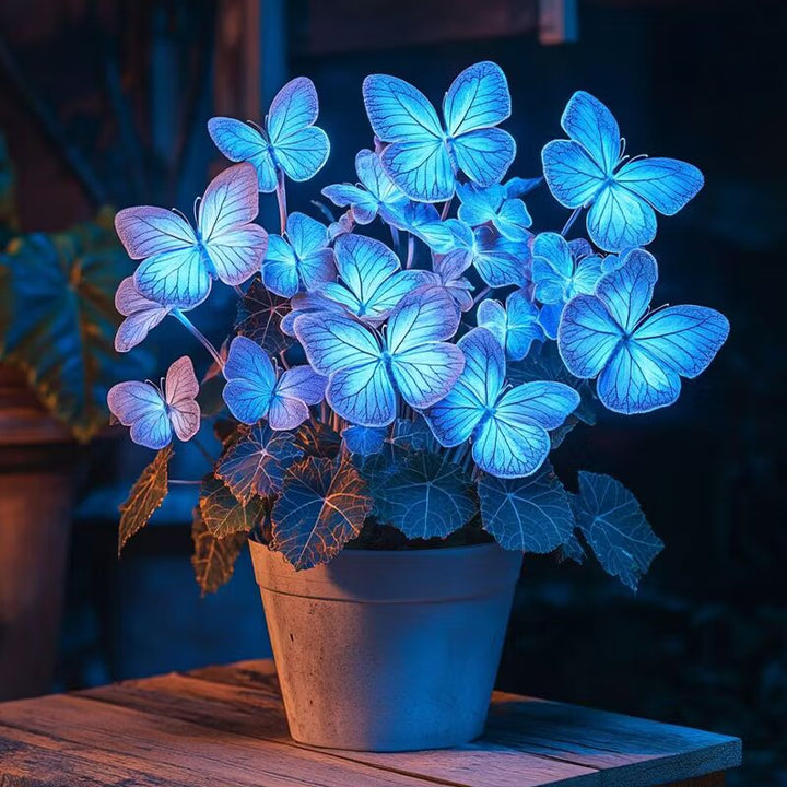 Moonlight Butterfly Begonia Flower Seeds - Blue Neon | Heirloom Non-GMO Seeds for Planting