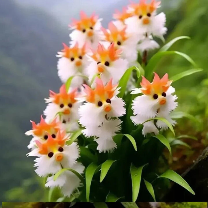 Enchant Your Garden! Magical Plants! Cat&