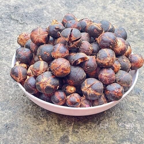 Black Gorontula Seeds – Heirloom, Non-GMO, High Germination Organic Garden Seeds