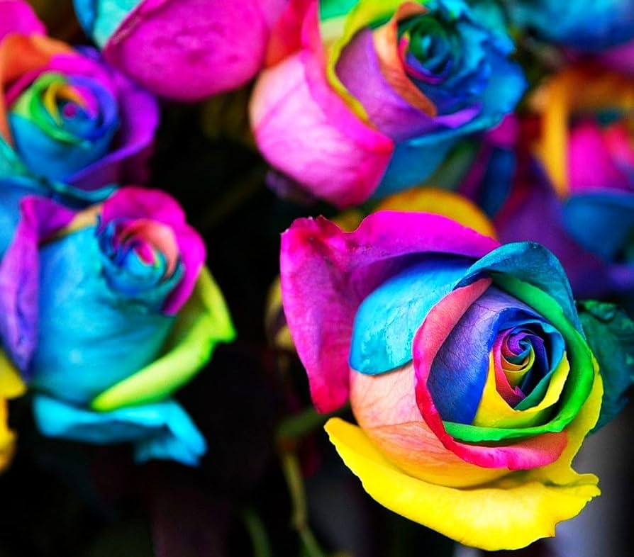 rainbow lipstick flower seeds