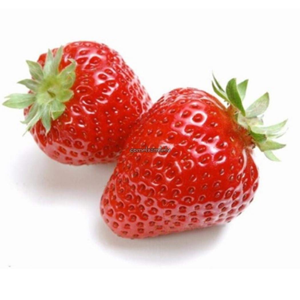 everbearing strawberry flower seeds