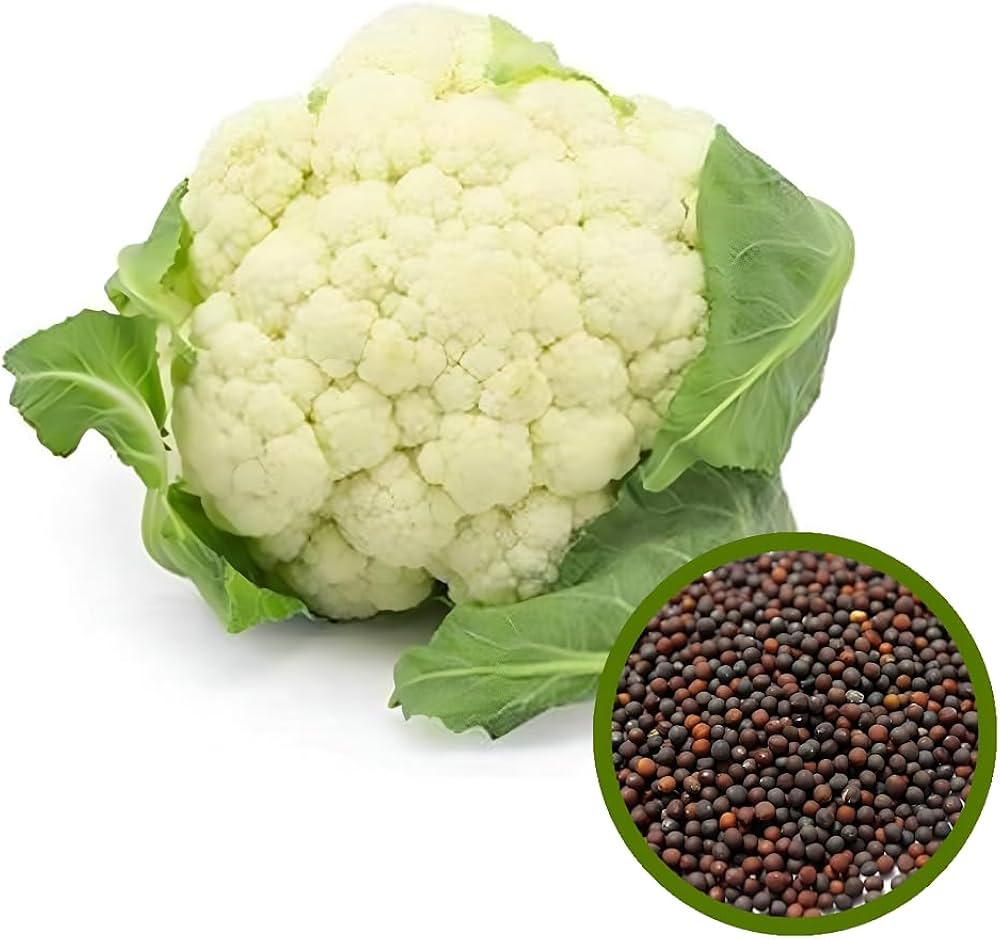 cauliflower for flower seeds