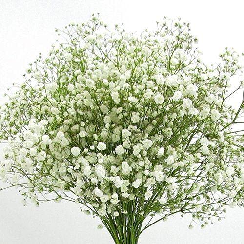 happy farm flower seeds