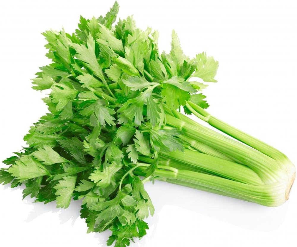 Utah Celery herb seeds