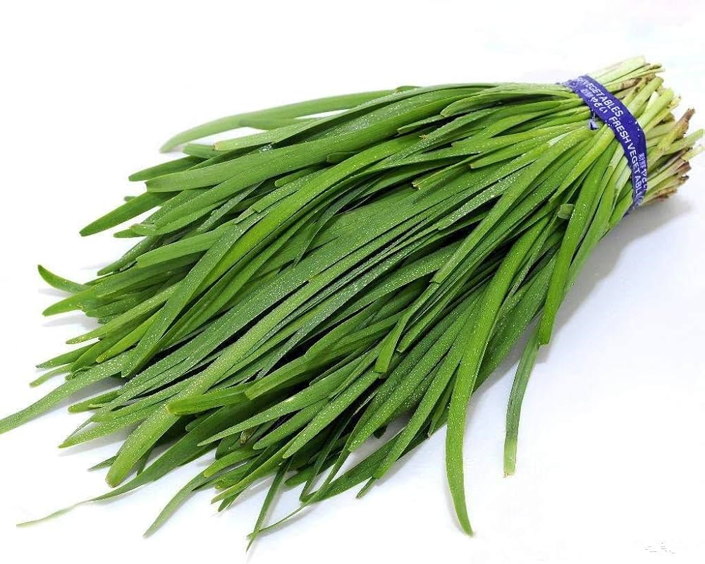chinese chive flower seeds