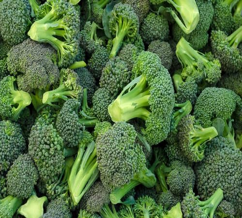 Broccoli – Heirloom, Non-GMO, High Germination Organic Garden Seeds Planting