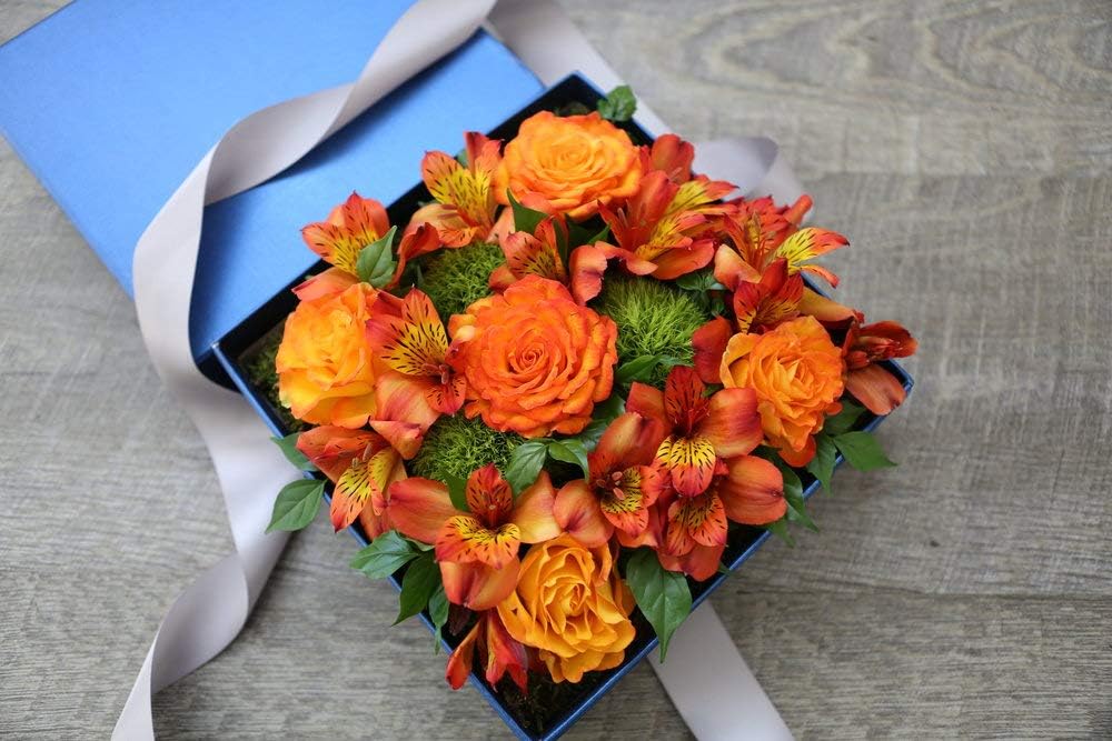 Orange Eustoma Flower Seeds – Heirloom, Non-GMO, High Germination Seeds
