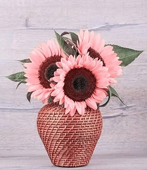 Giant Sunflower Seeds Pink – Heirloom, Non-GMO, High Germination Seeds