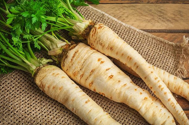 Parsnip Seeds – Heirloom, Non-GMO, High Germination Organic Garden Seeds Planting