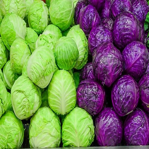 Mixed Cabbage Seeds – Heirloom, Non-GMO, High Germination Organic Garden Seeds Planting