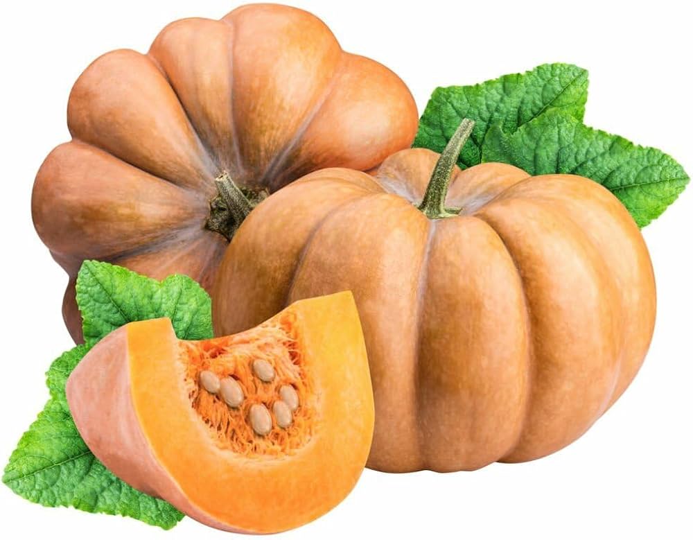 bonsai pumpkin flower seeds