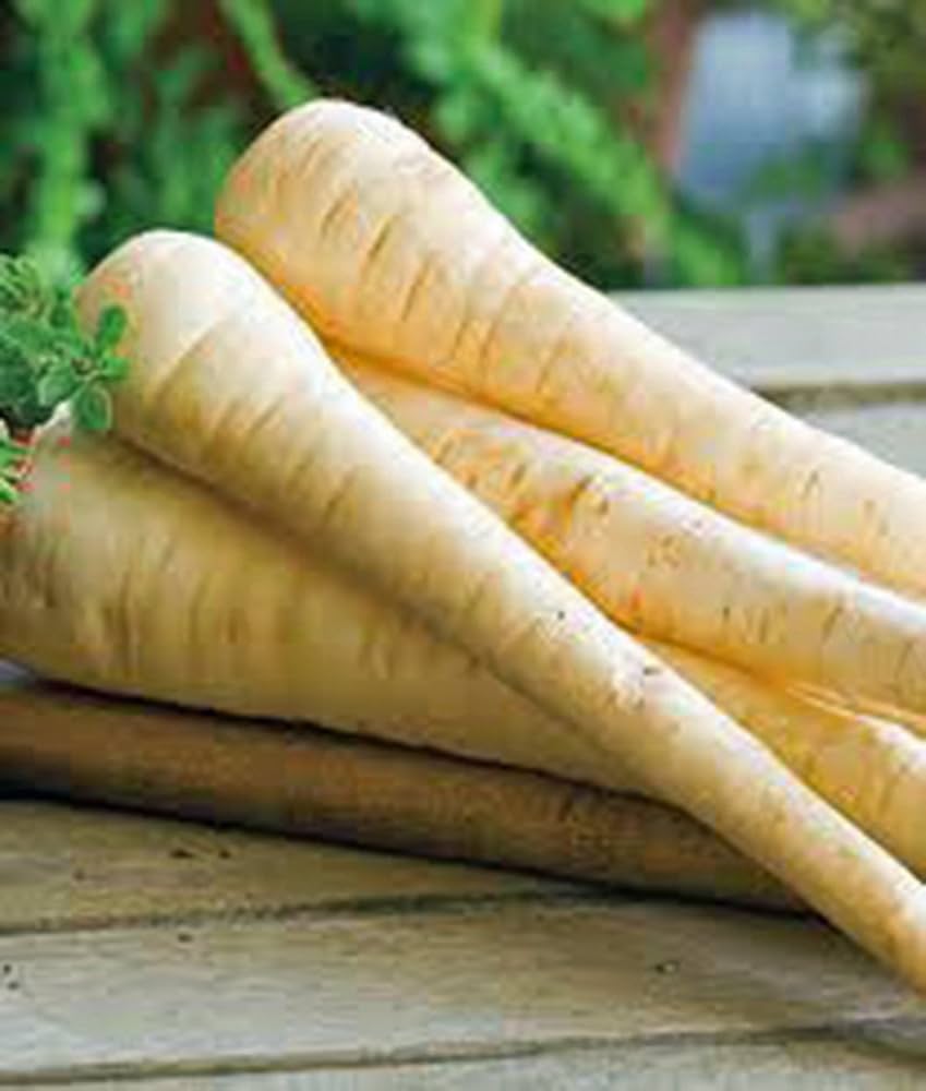 parsnip harris flower seeds