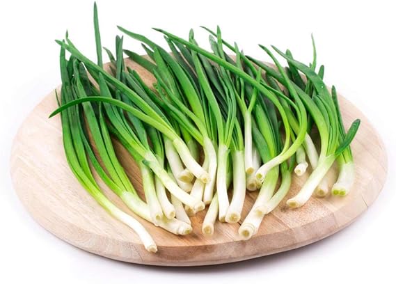 chinese chive flower seeds