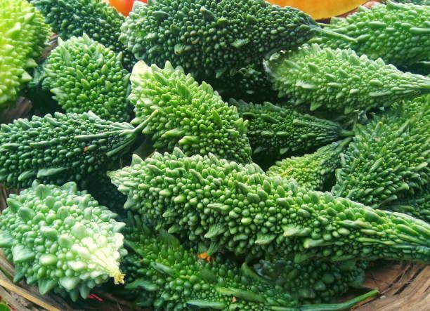Semillas de melón amargo – Antiguas, sin OMG, alta germinación, siembra de semillas de jardín orgánicas