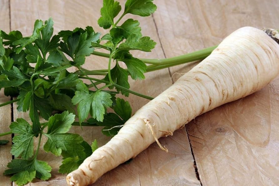 Hamburg Rooted herb seeds