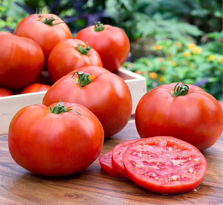 better boy flower seeds