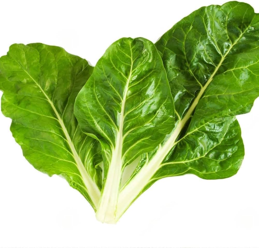 Green White herb seeds