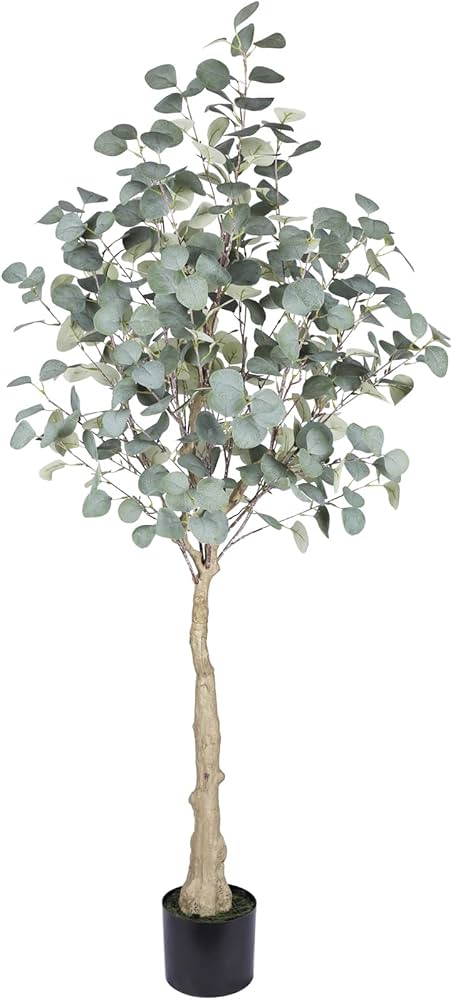 Silver Eucalyptus Plant Seeds for Planting – Heirloom, Non-GMO, High Germination Organic Garden Seeds