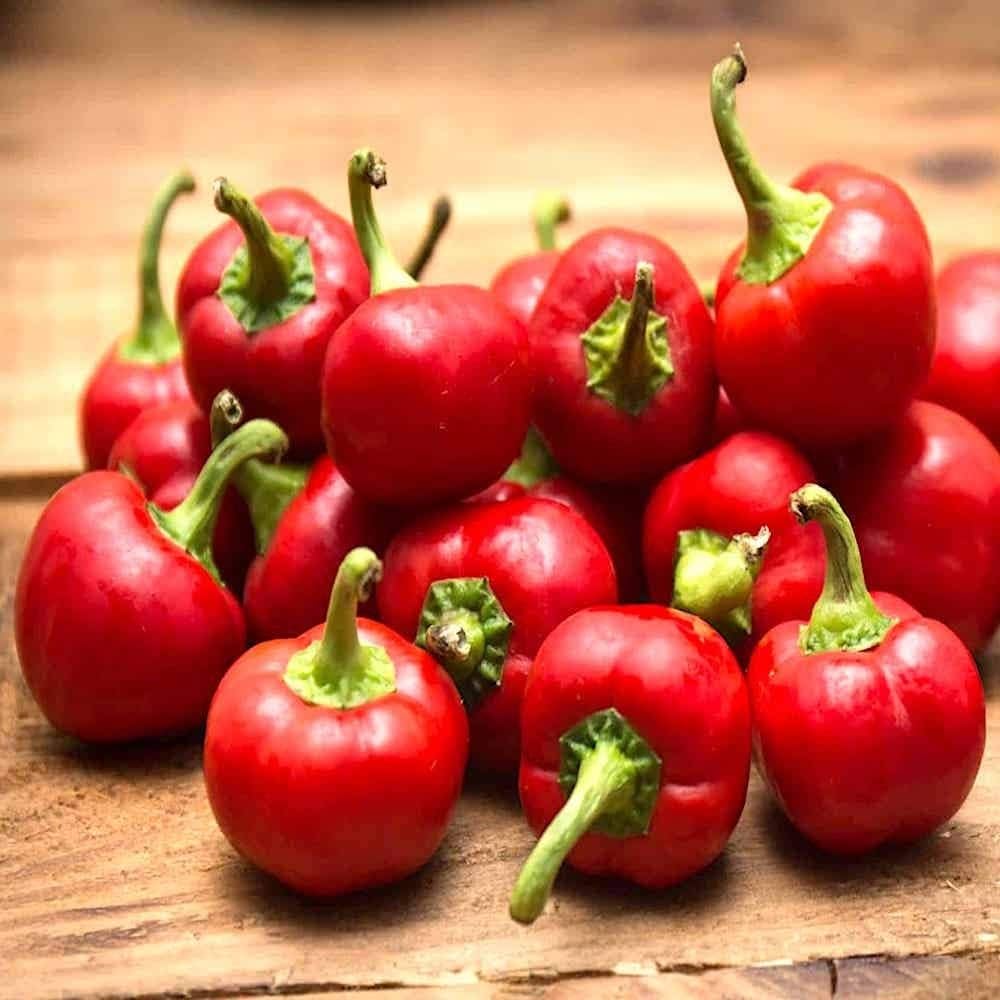 red hot flower seeds