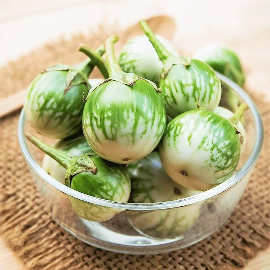 thai eggplant flower seeds