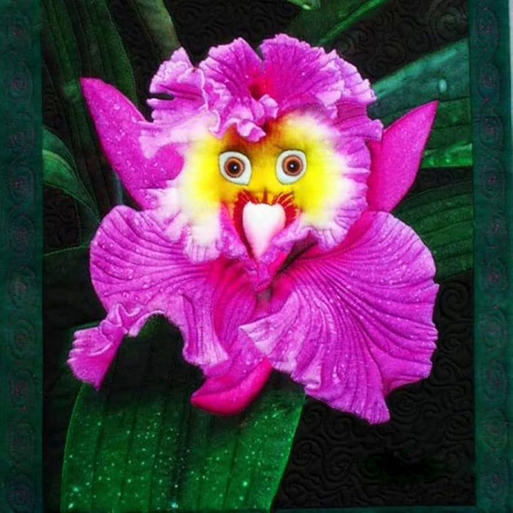 Monkey Face Orchid Flower Seeds Pink – Heirloom, Non-GMO, High Germination Seeds