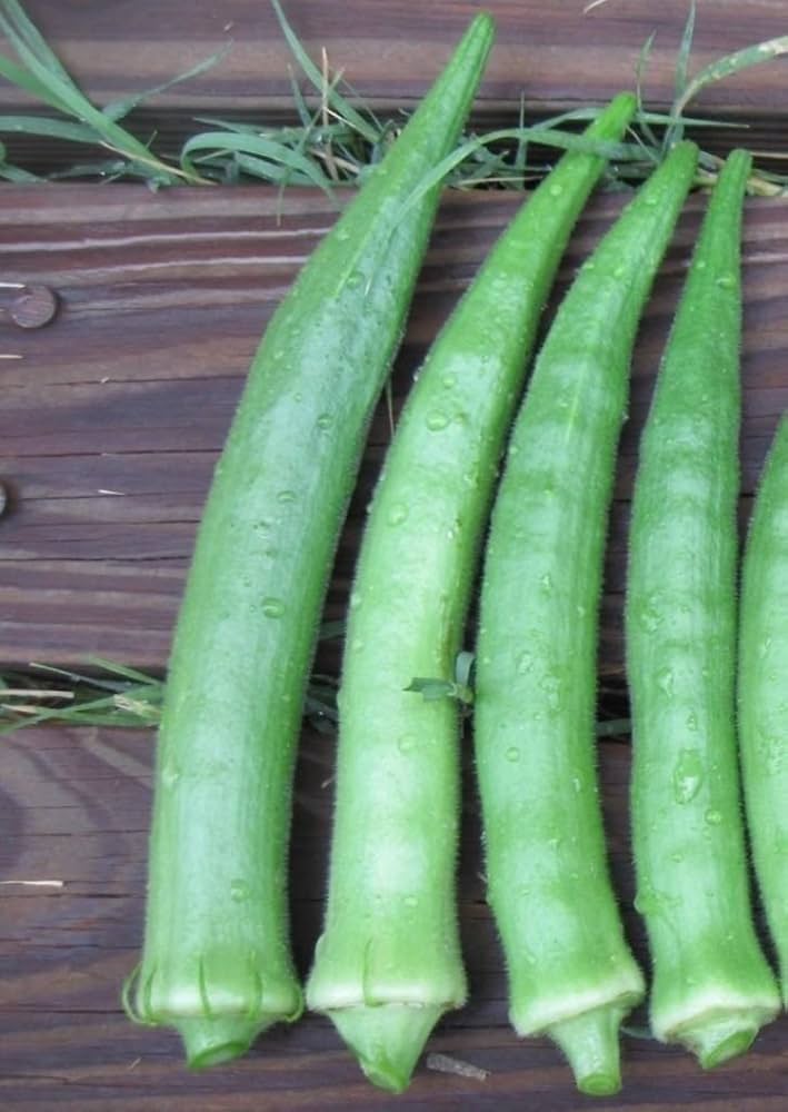 giant okra flower seeds