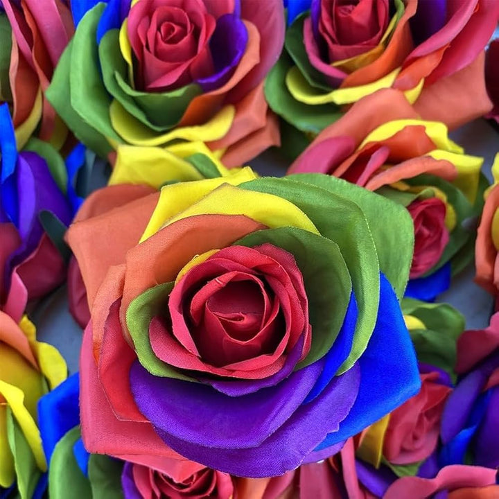 Rainbow Rose Seeds for Planting
